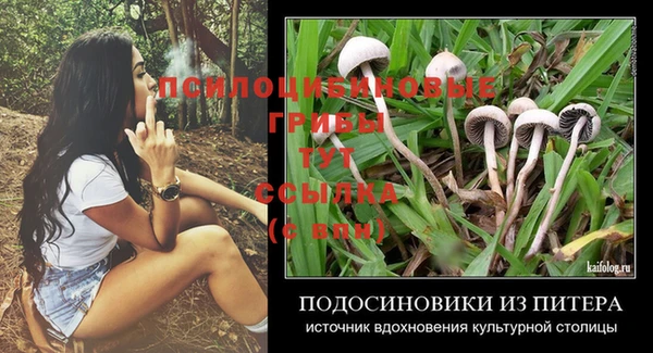 ПСИЛОЦИБИНОВЫЕ ГРИБЫ Кинешма