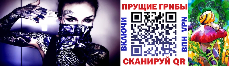 Галлюциногенные грибы ЛСД  Купить  Саров 